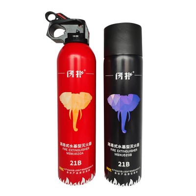迷你型液体车载灭火器批发小型便携车用家用汽车年检21B消防器材图5