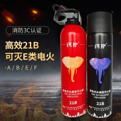 迷你型液体车载灭火器批发小型便携车用家用汽车年检21B消防器材图3