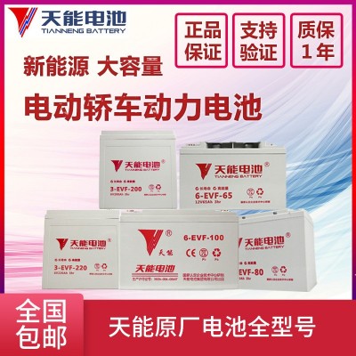 天能新能源电动轿车四轮车原厂电瓶60v100a4-evf-150y6v200a h批发